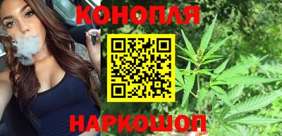 сатива Нальчик