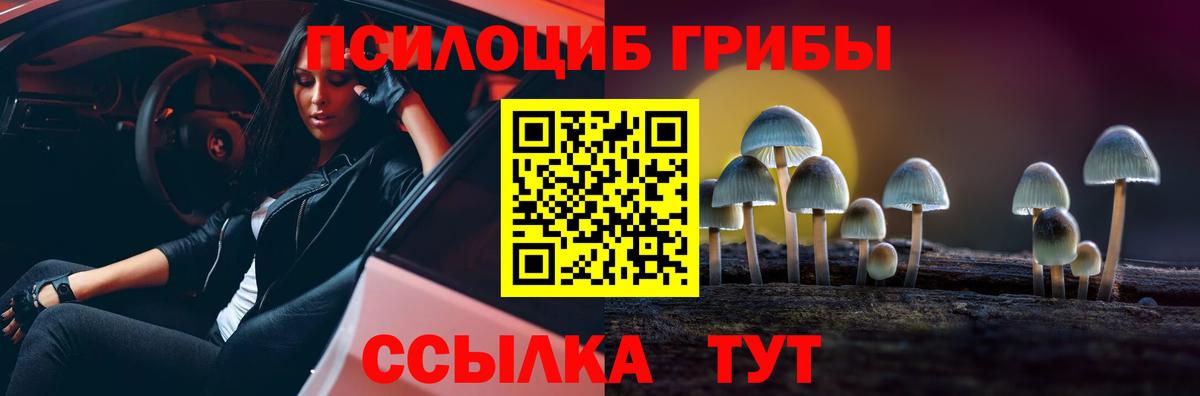 Псилоцибиновые грибы прущие грибы  Псилоцибиновые грибы Psilocybe  Тихорецк  Вход с VPN 